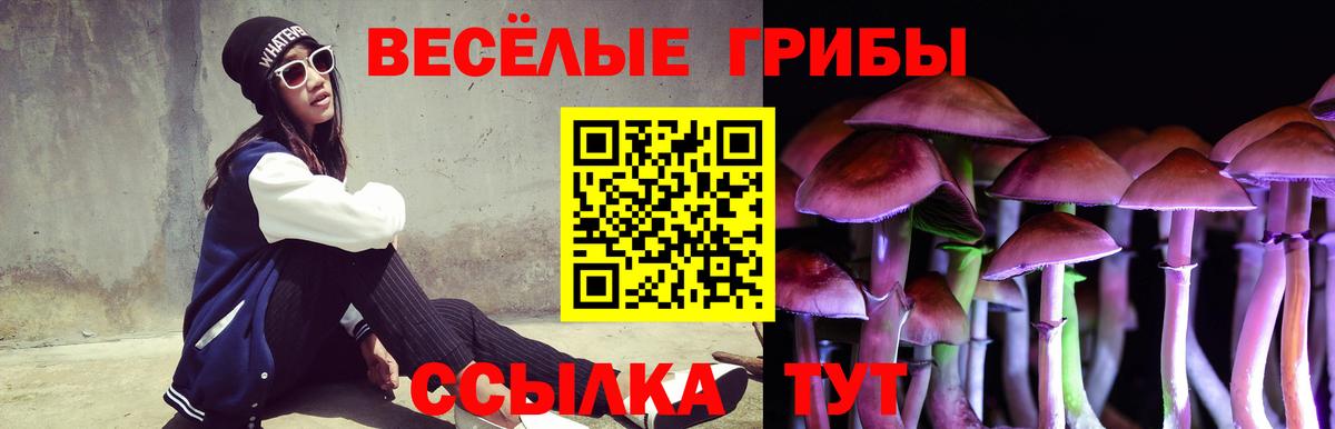 Псилоцибиновые грибы Psilocybe  Вход с VPN  Беслан 